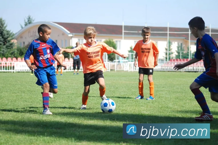 百家博娱乐城官网发展历程